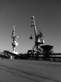 /album/terminal-de-donges/img-1350-jpg/